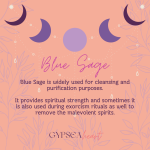 Blue Sage