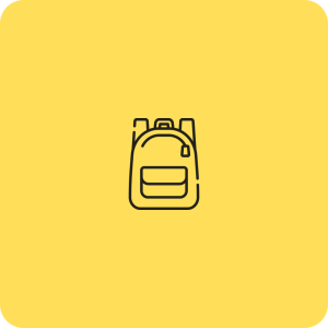 icon Bags